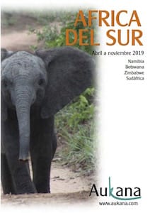 Africa del Sur verano 2019