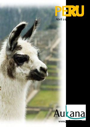 Aukana Peru 2020