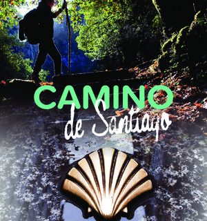 Camino de Santiago Quelonea 2020
