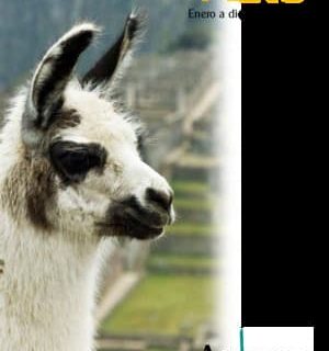 Circuitos Peru Aukana 2022